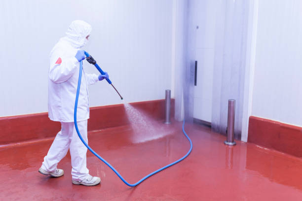 Best Pre-Holiday Cleaning  in Oswego, KS